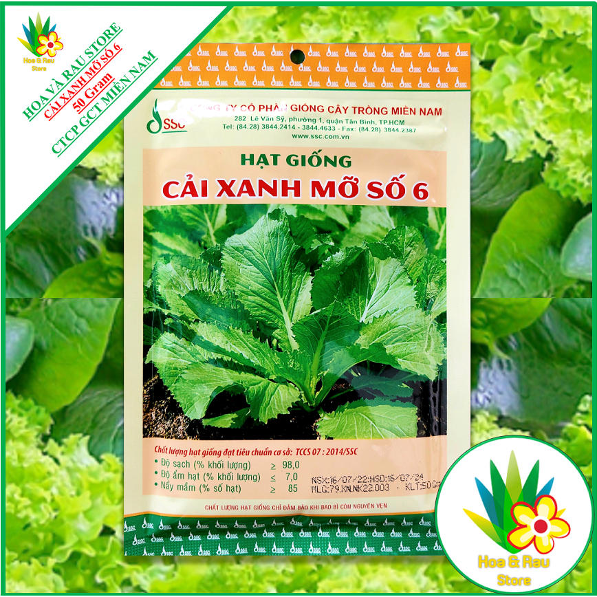 [10 Gói 50Gr] Hạt Giống CẢI XANH MỠ SỐ 6- Miền Nam - Hoa và Rau Store - Cải Xanh - Cải Cay - Cải Đắn