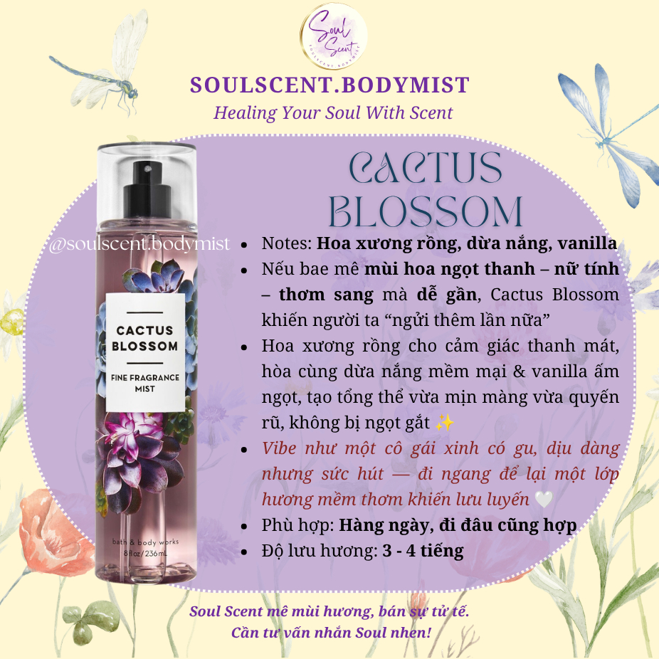 CACTUS BLOSSOM Body mist xịt thơm toàn thân Bath & Body Works (AUTH Mỹ) | Soul Scent
