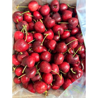 [ JENNY FRUIT ] [ HỎA TỐC ] CHERRY MỸ GIÒN NGỌT