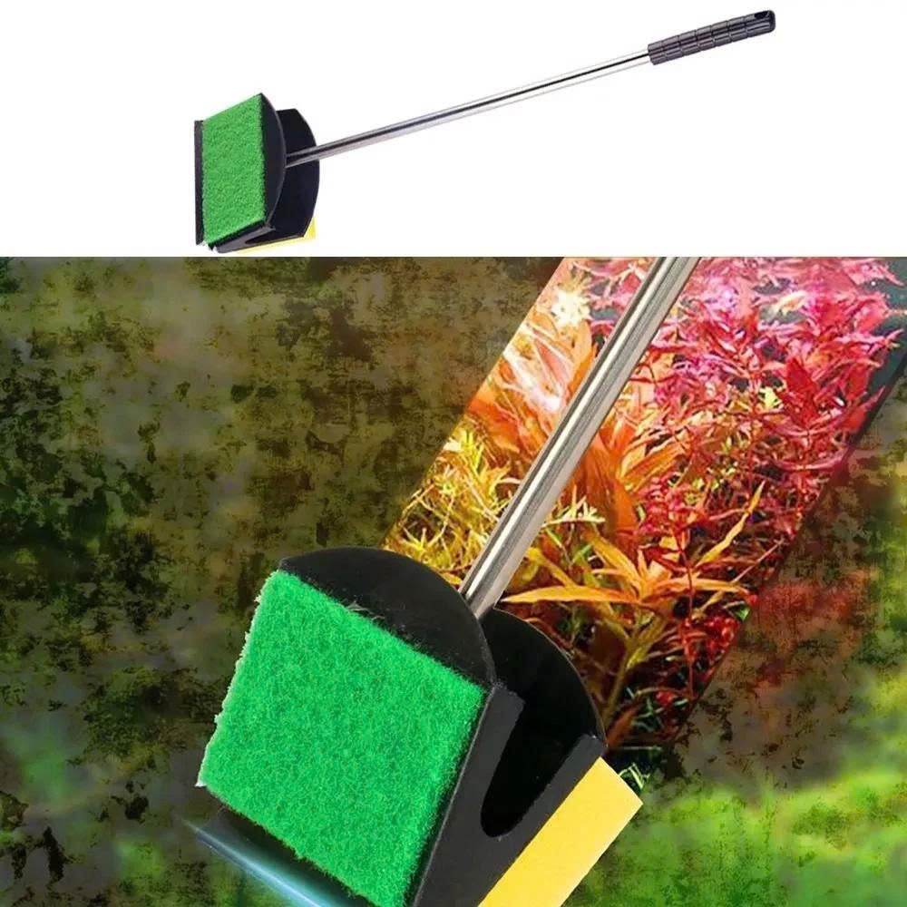 Cây cọ 2 mặt vệ sinh bể cá - Cây lau kính hồ cá, chà sạch rêu tảo