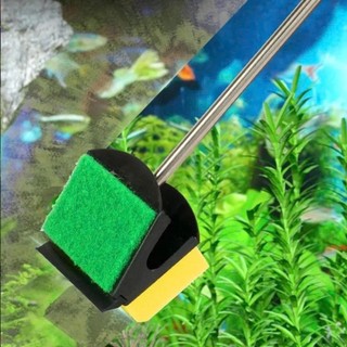 Cây cọ 2 mặt vệ sinh bể cá - Cây lau kính hồ cá, chà sạch rêu tảo