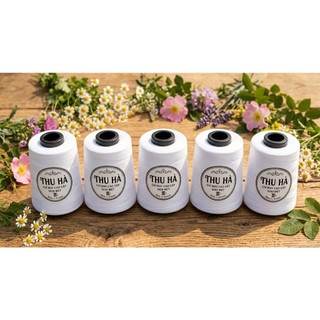 Chỉ trắng cotton 10 cuộn 5000m
