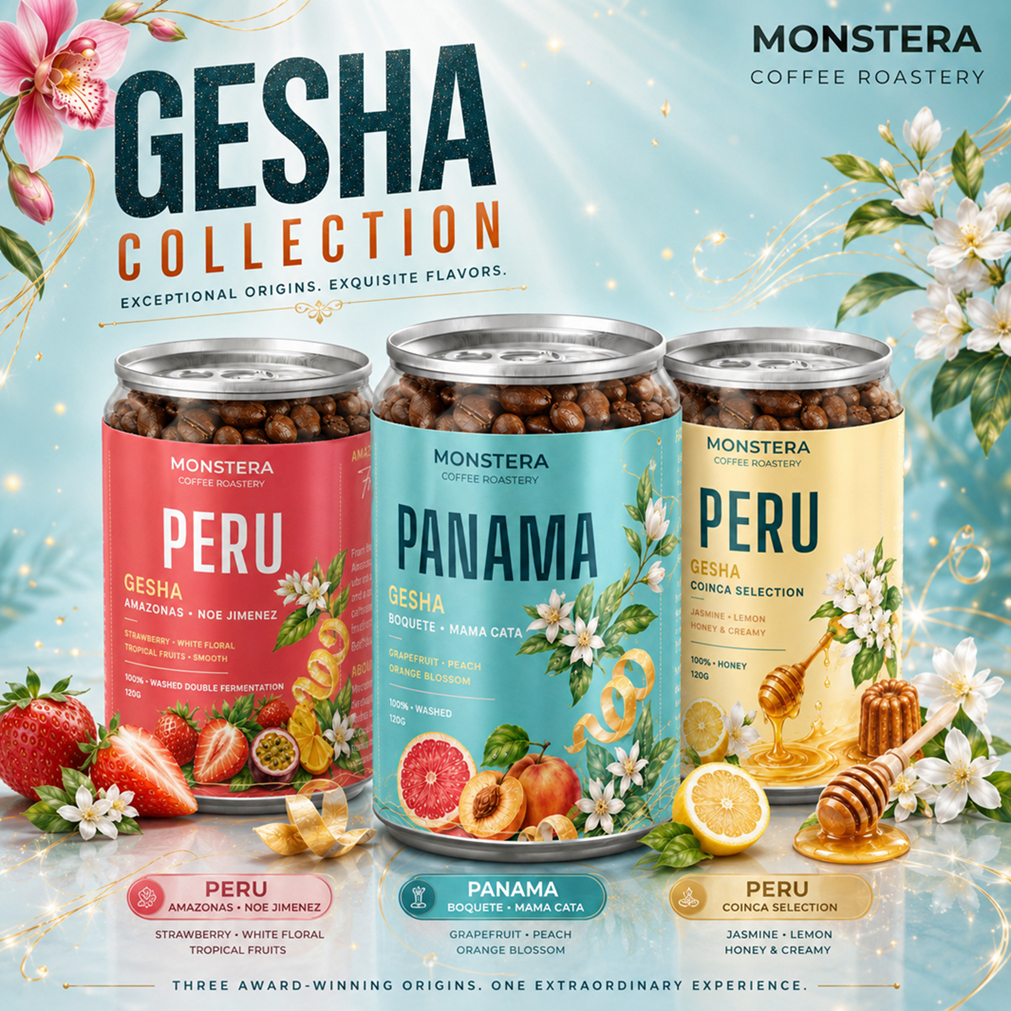 Gesha Collection - Specialty Coffee - Nguyên hạt - Monstera Roastery - Lon 120g
