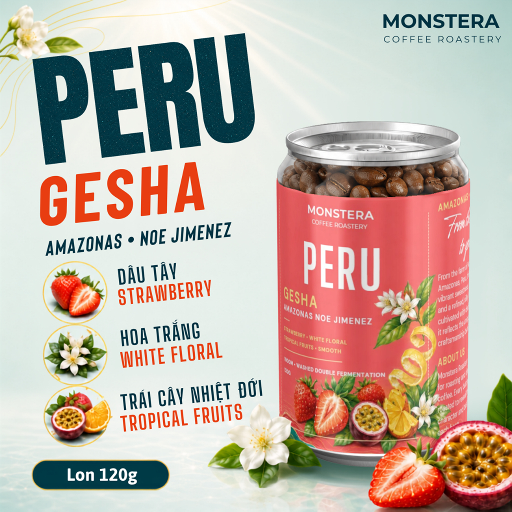 Peru Gesha – Amazonas Noe Jimenez - Nguyên hạt -  Specialty Coffee - Monstera Roastery - Lon 120g