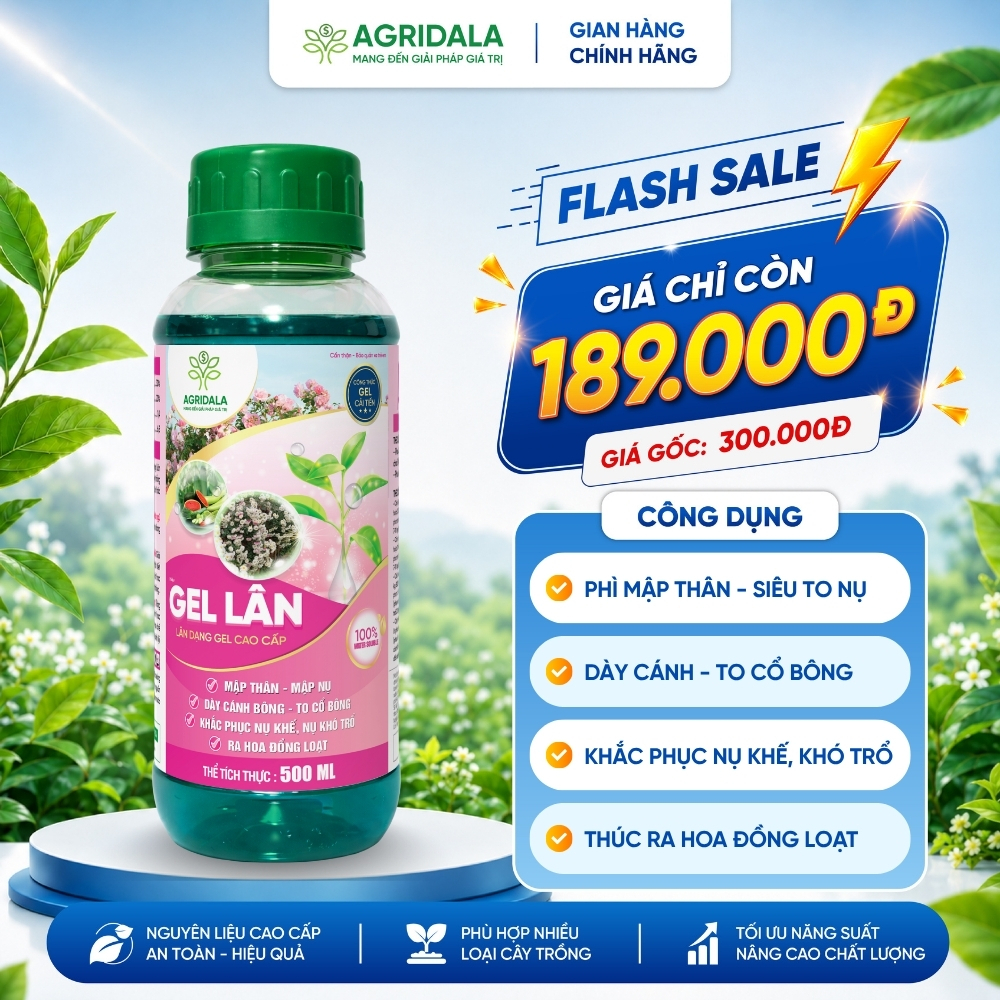 Phân bón GEL LÂN - Chai 500ML - To Nụ, Mập Thân, Dày Cánh Bông, To Cổ, Kích Hoa Trổ Đều, Chống Nghẹn
