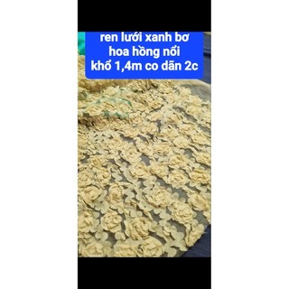 vải ren lưới hoa hồng nổi