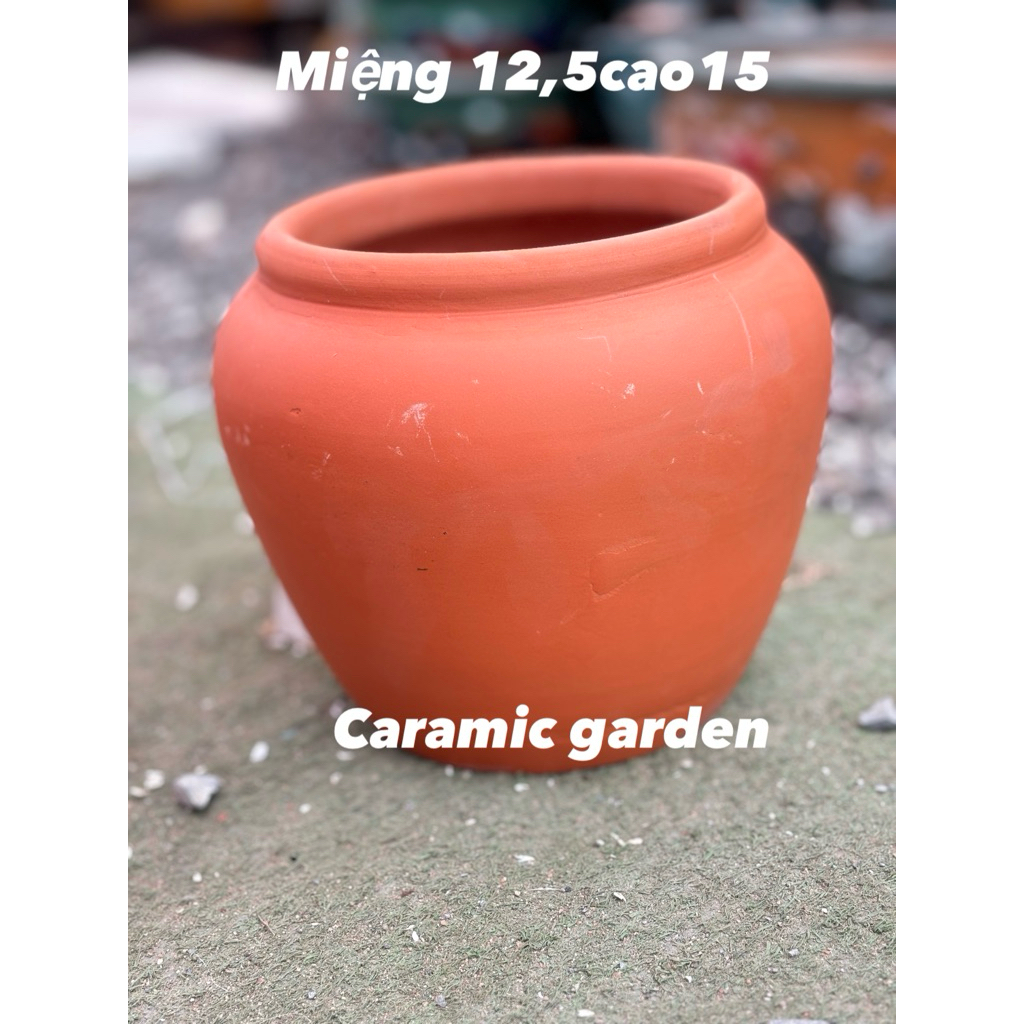 Chậu lu đất nung có lỗ và ko lỗ