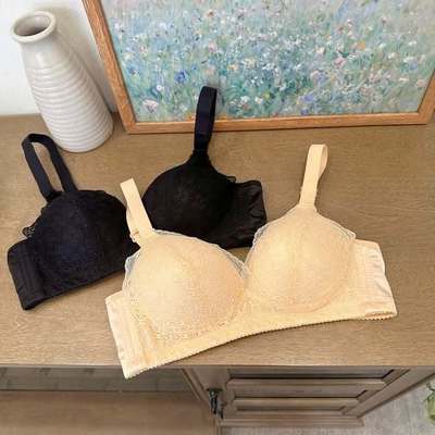 Áo Lót Nữ Cotton Đệm Mỏng 0.5cm Không Gọng Thoáng Mát AL0017 Nội Y Chipi