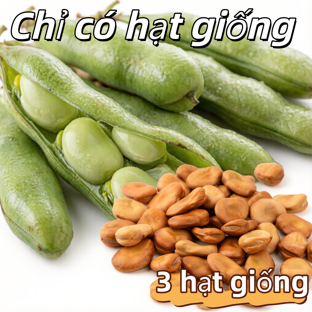 Patani Seeds - Vegetable Seeds-3 seeds