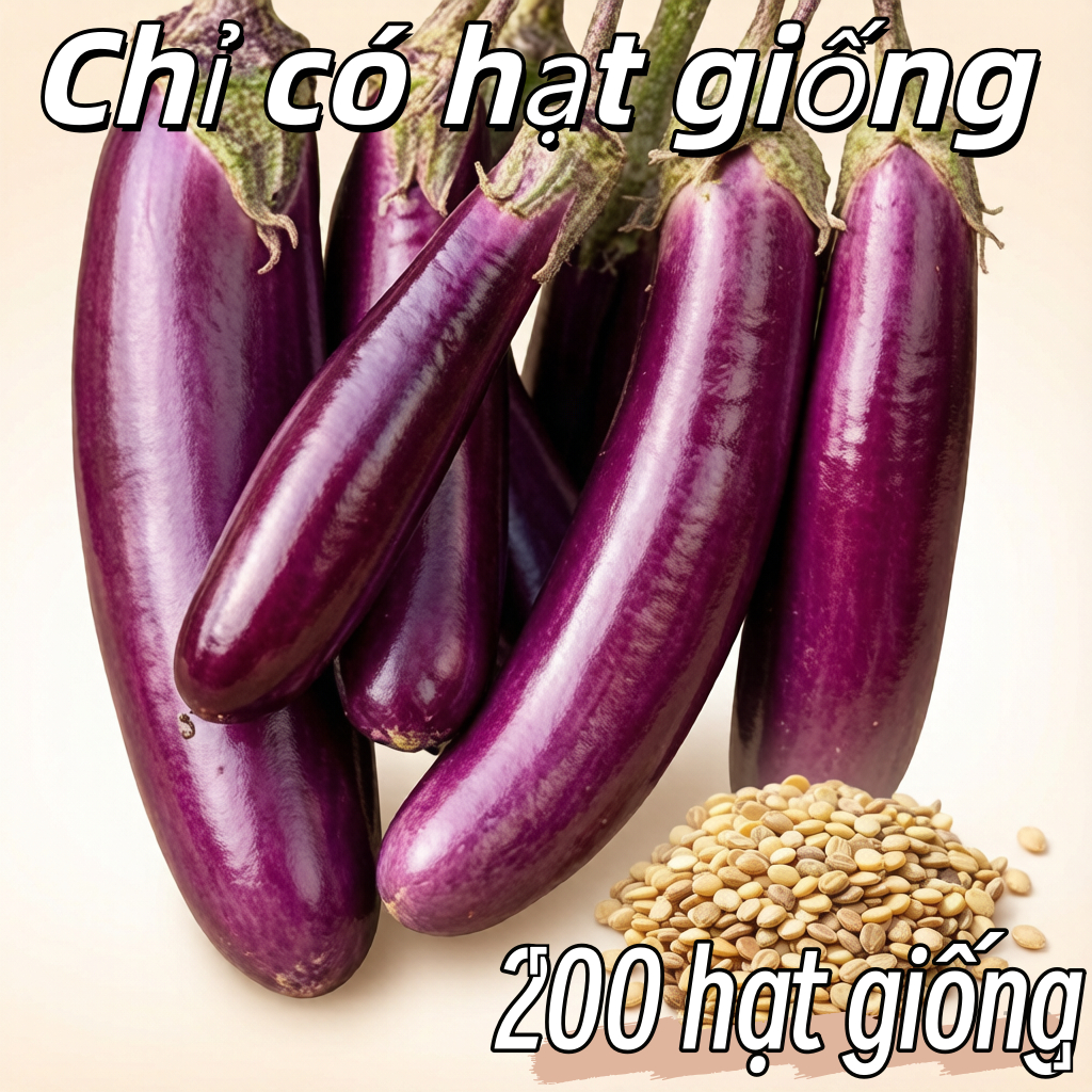 Hạt giống cà tím dài siêu trái  EGGPLANT SEEDS-200 Hạt