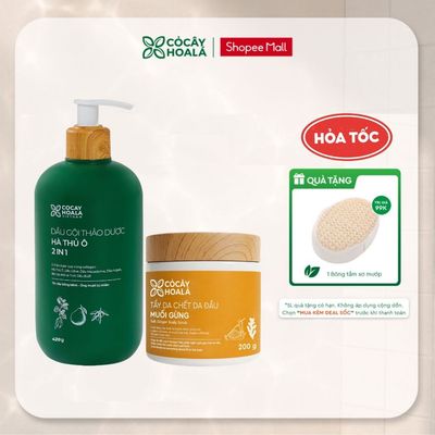 [TẶNG BÔNG TĂM XƠ MƯỚP] Combo Dầu Gội Hà Thủ Ô 2in1, Tẩy Da Chết Da Đầu Muối Gừng 200g Cỏ Cây Hoa Lá Giúp Làm Sạch