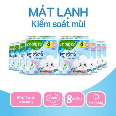 [Gift] Combo 8 Molped Băng Vệ Sinh Thiên Nhiên