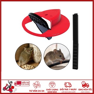 🛑FREESHIP🛑 COMBO 5 NẮP BẪY CHUỘT THÔNG MINH, TỰ ĐỘNG TRƯỢT, BẬP BÊNH (TẶNG THANG)
