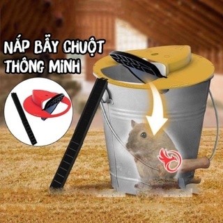 🛑FREESHIP🛑 COMBO 5 NẮP BẪY CHUỘT THÔNG MINH, TỰ ĐỘNG TRƯỢT, BẬP BÊNH (TẶNG THANG)