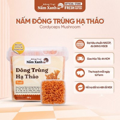 [HCM] Nấm Đông Trùng Hạ Thảo Tươi Sinh Khối Tăng Cường Đề Kháng - Nông Trại Nấm Xanh