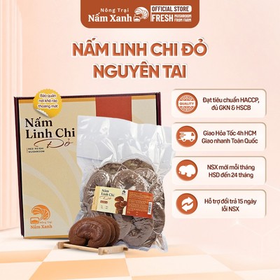250Gr Nấm Linh Chi Đỏ Nguyên Tai (Còn Bào Tử) Tốt Cho Sức Khỏe - Nông Trại Nấm Xanh