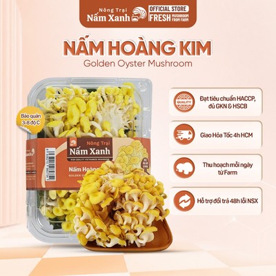 [HCM] Nấm Hoàng Kim Tươi (Nấm Ngô) Túi 500gr 1kg Vàng Tươi Sạch Thơm Ngon - Nông Trại Nấm Xanh