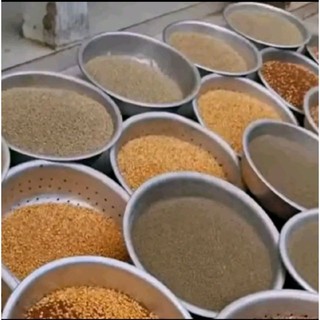 Cám chim họa mi số 1 (Ba cẩn)