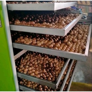 Cám chim họa mi số 1 (Ba cẩn)
