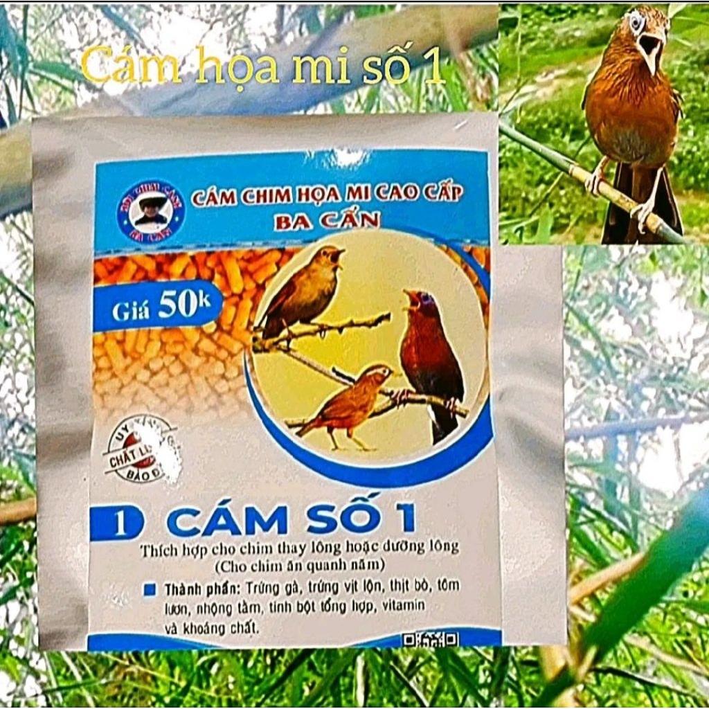 Cám chim họa mi số 1 (Ba cẩn)