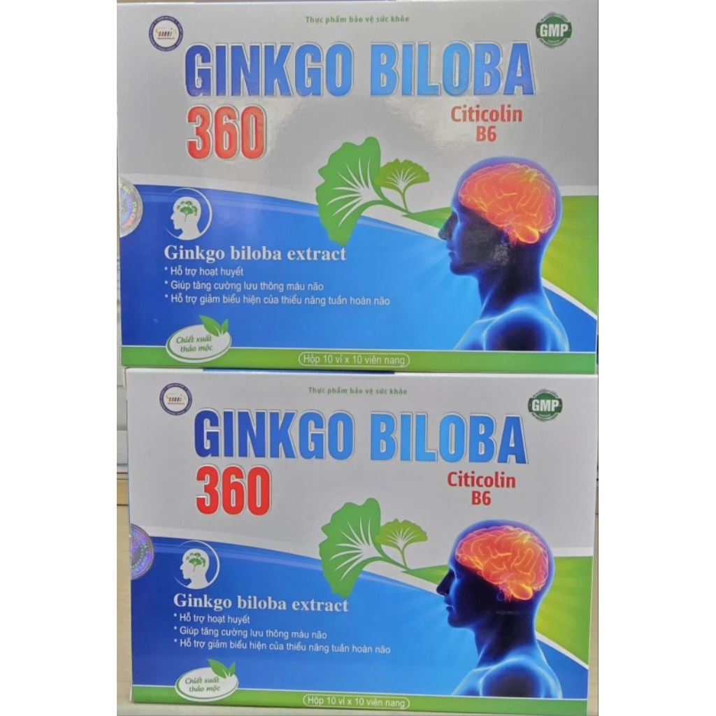 Hoạt huyết dưỡng não GINKGO BILOBA 360