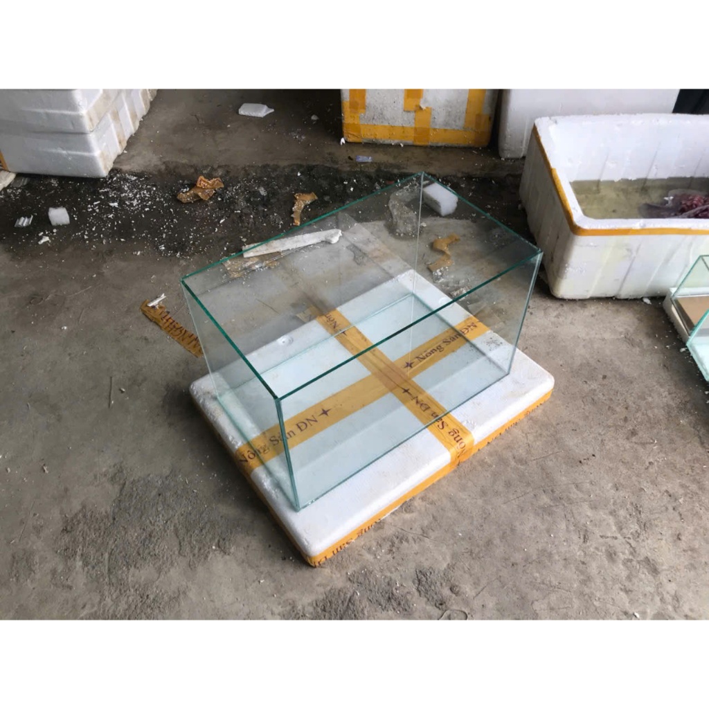 bể cá 50x30x30 kính trắng trong 5li mài tay hợp phong thuỷ
