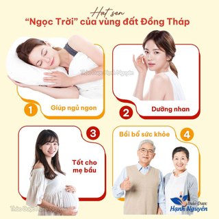 Hạt sen bở 50g-100g, hạt sen khô, thơm, bùi dùng nấu chè, cháo, hầm canh, nấu xôi - Thảo Dược Hạnh Nguyên