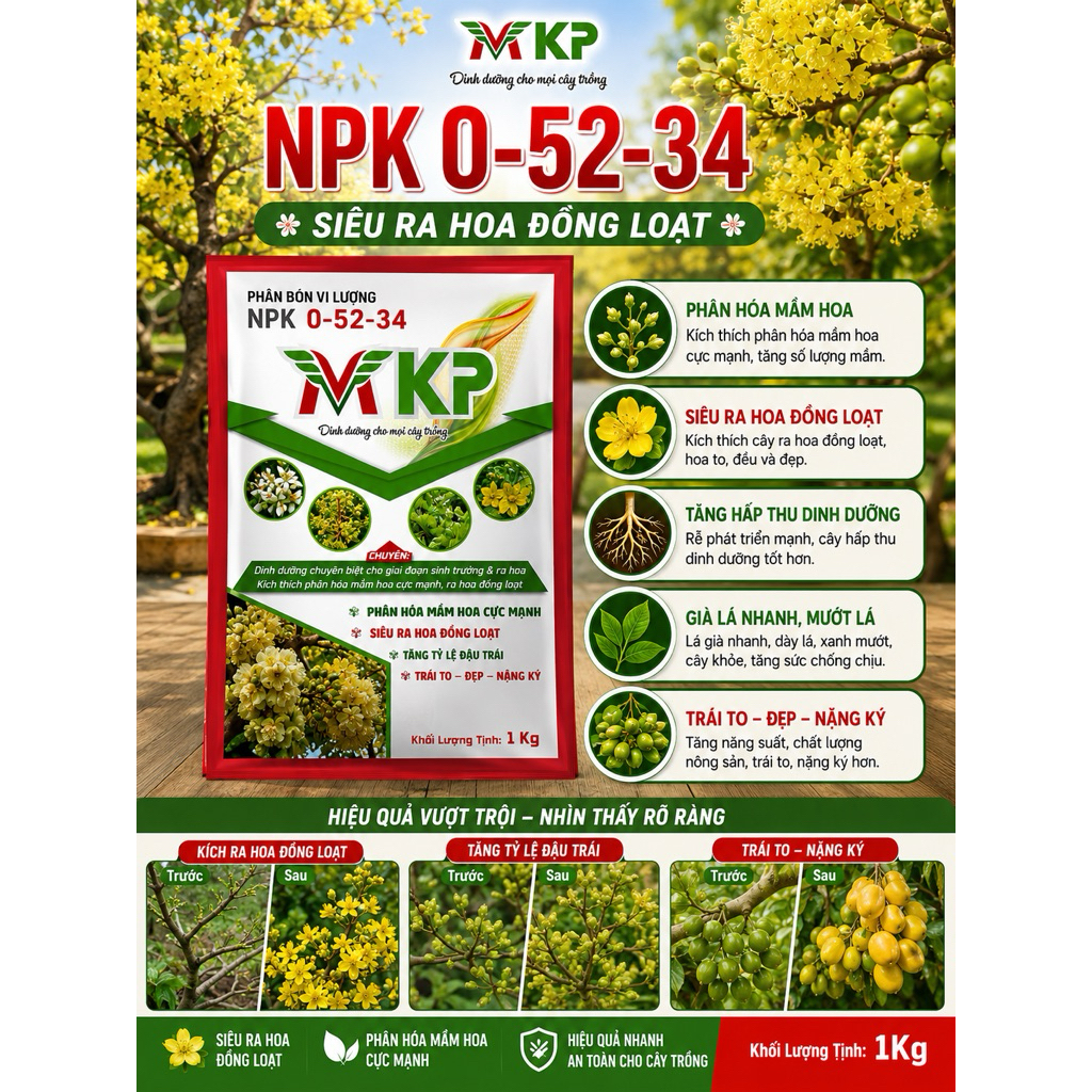 MKP 0-52-34 +Te siêu kích hoa siêu tạo mầm hoa chặn đọt ra hoa nghịch vụ