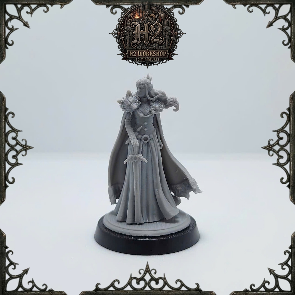[Mô hình in 3D] Mô hình DnD lớp nhân vật pháp sư - Wizard 001
