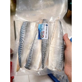 Cá Saba NaUy File hỏa tốc