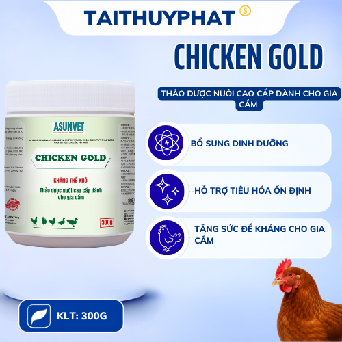 CHICKEN GOLD 300g Thảo dược nuôi cao cấp cho gia cầm, tăng đề kháng cho gà chọi KT300
