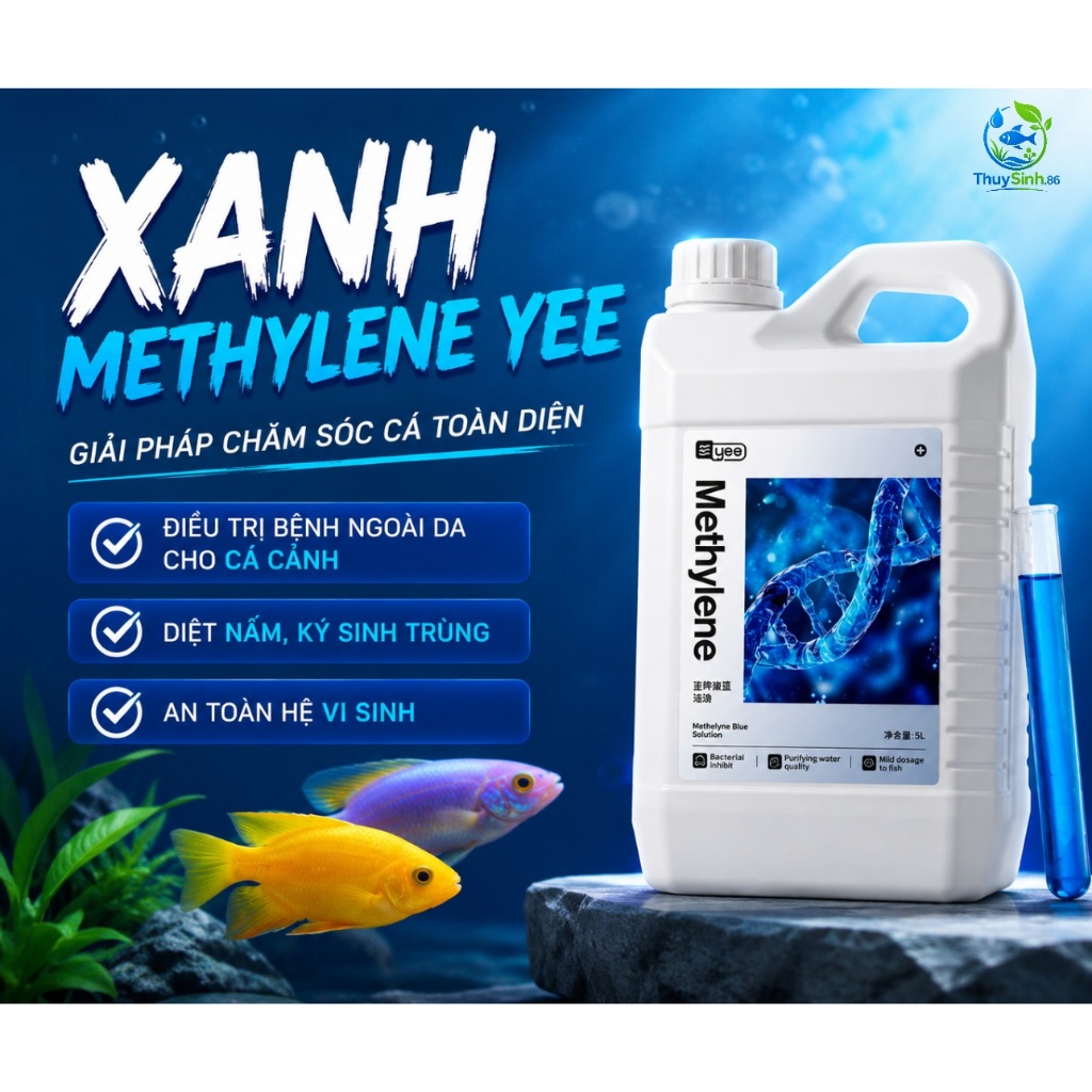 Xanh methyylene khử trùng hồ cá,tắm cá, chữa các bệnh ngoài da can lớn tiết kiệm