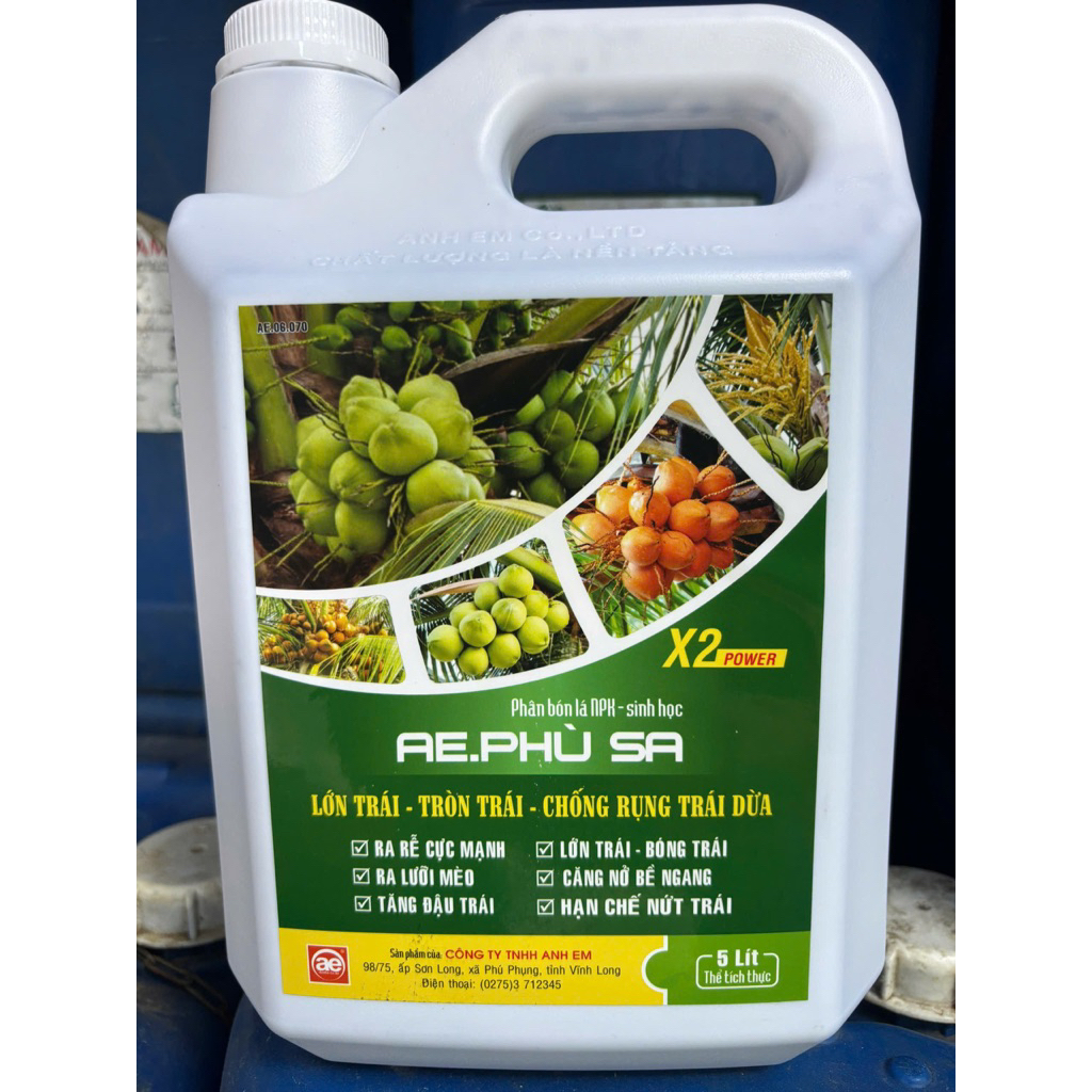 Combo 1 Thùng 4 Can Ae Phù Sa 5L X2 Power: Lớn trái, tròn trái cây dừa