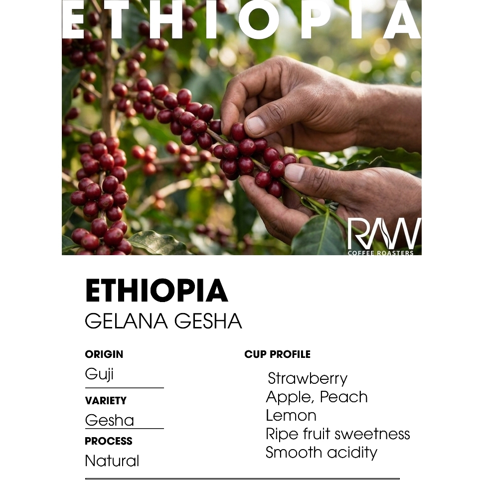 Hạt cafe ETHIOPIA GELANA GESHA NATURAL (250g)