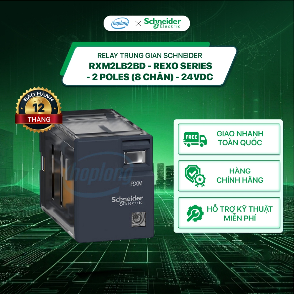 Relay trung gian RXM2LB2BD Schneider - REXO Series - 2 Poles (8 chân) - 24VDC - RXM2LB1BD
