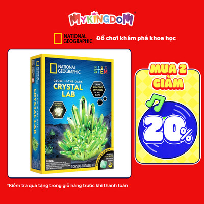 Đồ Chơi Nat Geo Nuôi Trồng Tinh Thể - Phát Sáng Trong Đêm STEAM RTNGGIDCRYSTAL