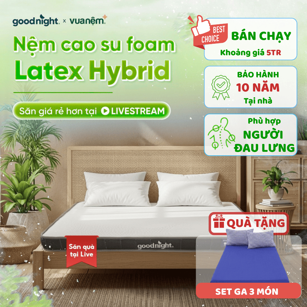 [TẶNG SET GA 3 MÓN] Nệm Cao Su Foam Vua Nệm Goodnight Latex Hybrid 10cm, Đệm Cao Su Thiên Nhiên, Nệm Gia Đình | BigBuy360 - bigbuy360.vn