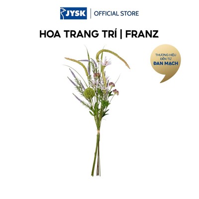 Hoa trang trí | JYSK FRANZ | nhựa PE/polyester | nhiều màu | C75cm