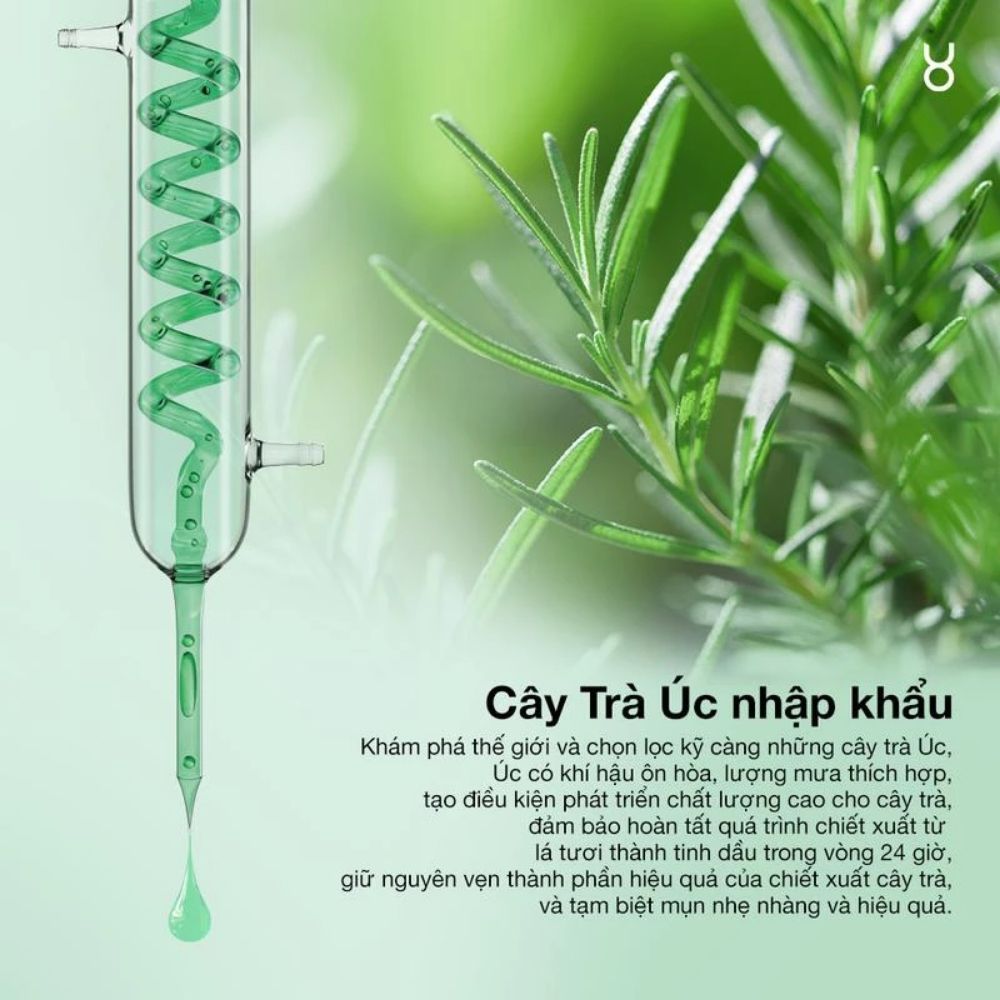 Ảnh 5 của Mặt Nạ FOCALSKIN Tràm trà Úc B5 Ngải Cứu Bạc Hà Hỗ Trợ Giảm Mụn 25ml