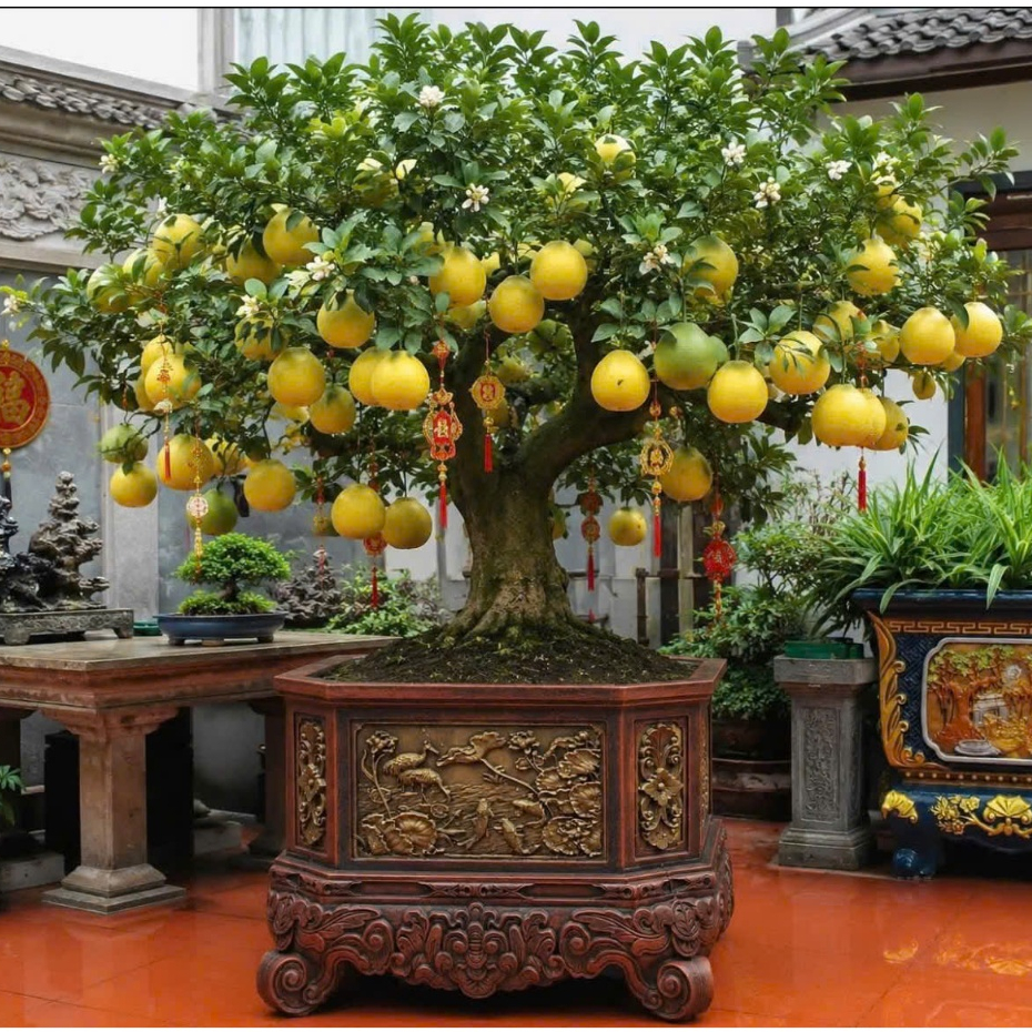 Khuôn đúc chậu vuông vát góc 70 chân liền rộng miệng 70 cao 60cm nhựa ABS hàng Việt dày dặn