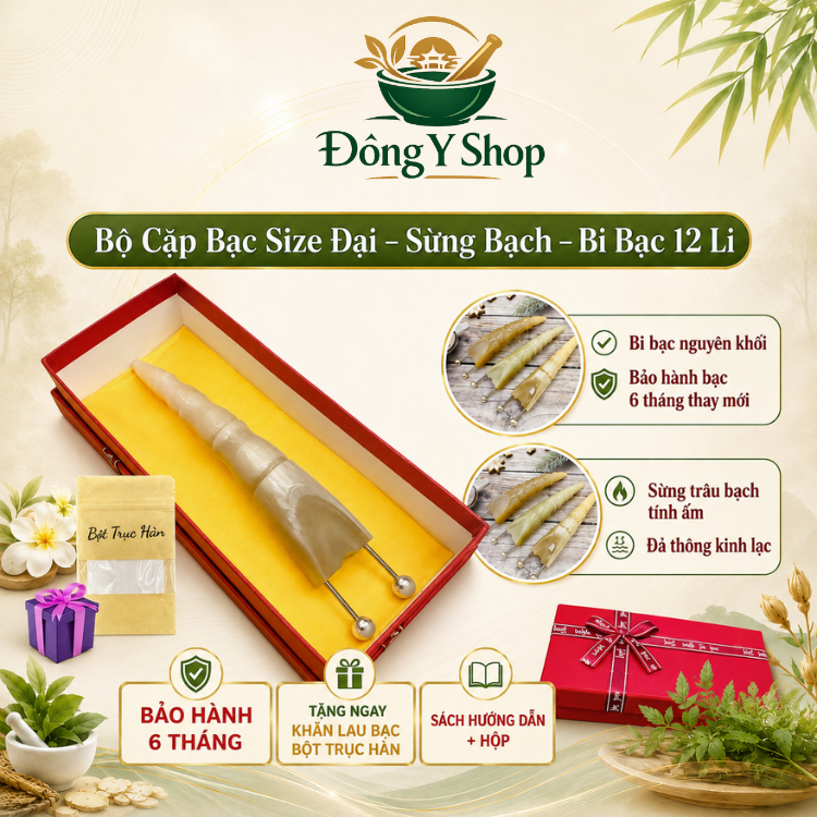 Bọ Cạp Bạc Diện Chẩn Đầu Bạc Thật - Dụng Cụ Đánh Gió Giải Cảm Bằng Sừng Tự Nhiên
