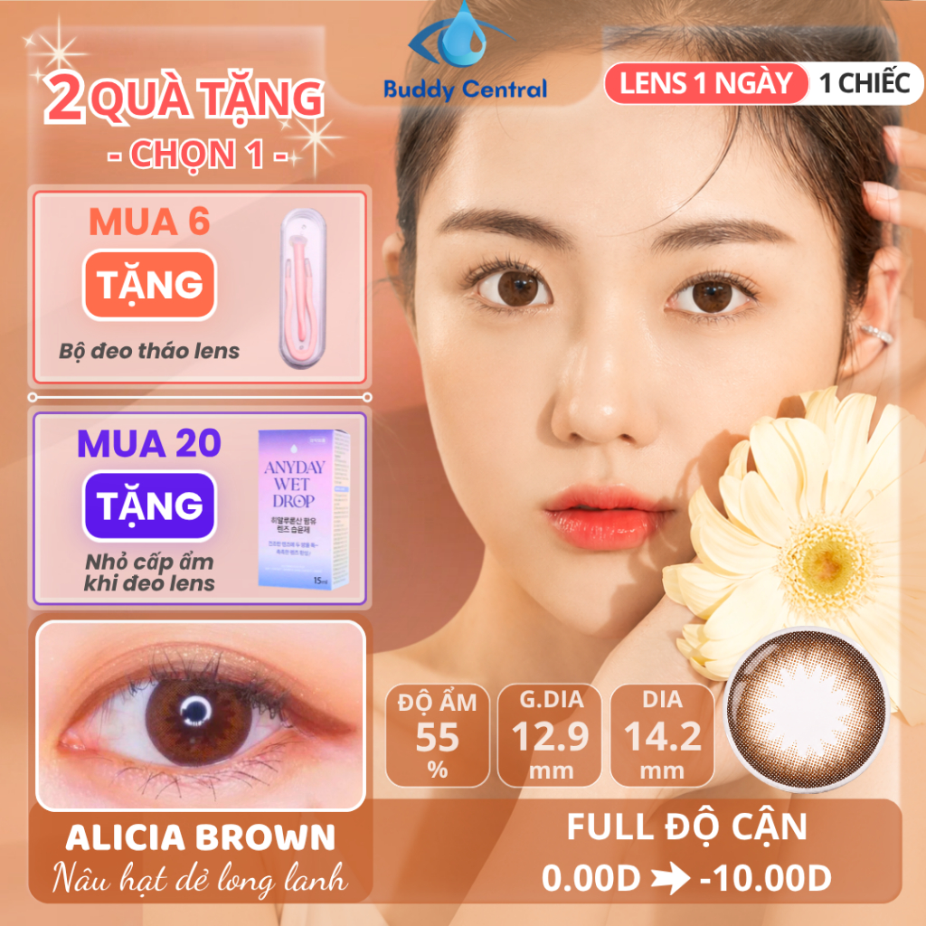 Lens Nâu 1 Ngày Clalen Iris Alicia Brown -0.00 | Nâu Hạt Dẻ Long Lanh, Tự Nhiên - DIA 14.2mm GDIA 12