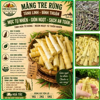 [HOẢ TỐC] Măng Tre Rừng Tánh Linh Bình Thuận Tươi Non Mọc Tự Nhiên Giòn Ngọt Đặc Sản Sạch Ăn Chay Ngon Xào Nấu Hầm Luộc