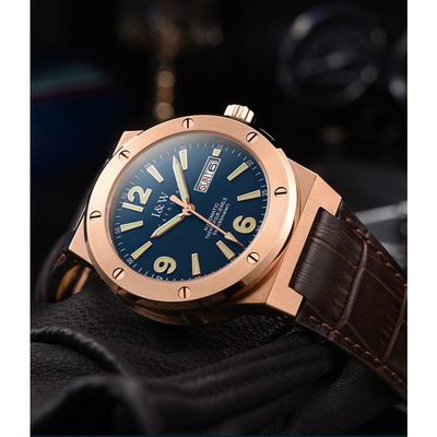 Đồng hồ nam chính hãng I&W Canrival 589G-D1 Kính sapphire,Chống nước 50m,Bh 24 tháng,Máy cơ (Automatic),dây da nâu