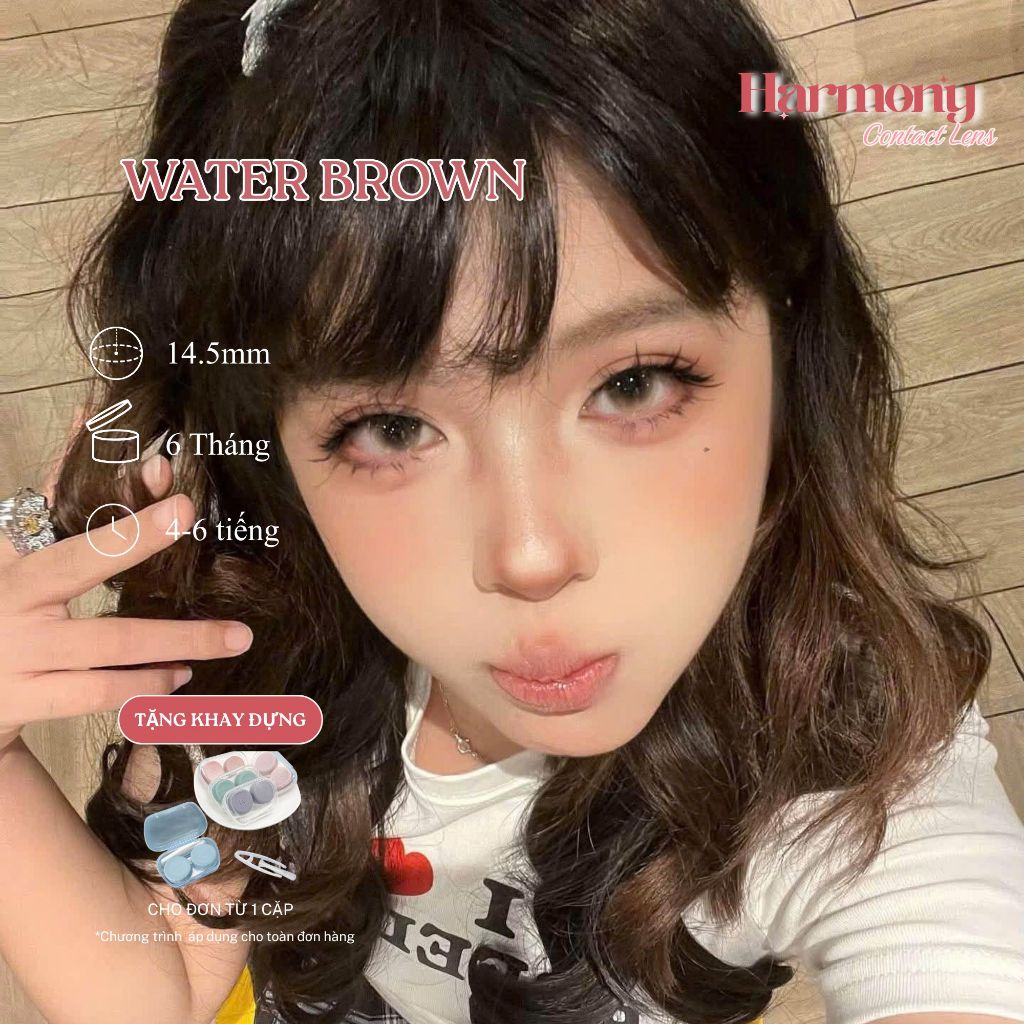 Kính áp tròng - lens nâu tây 6 THÁNG HARMONY WATER BROWN DIA 14.5mm có độ