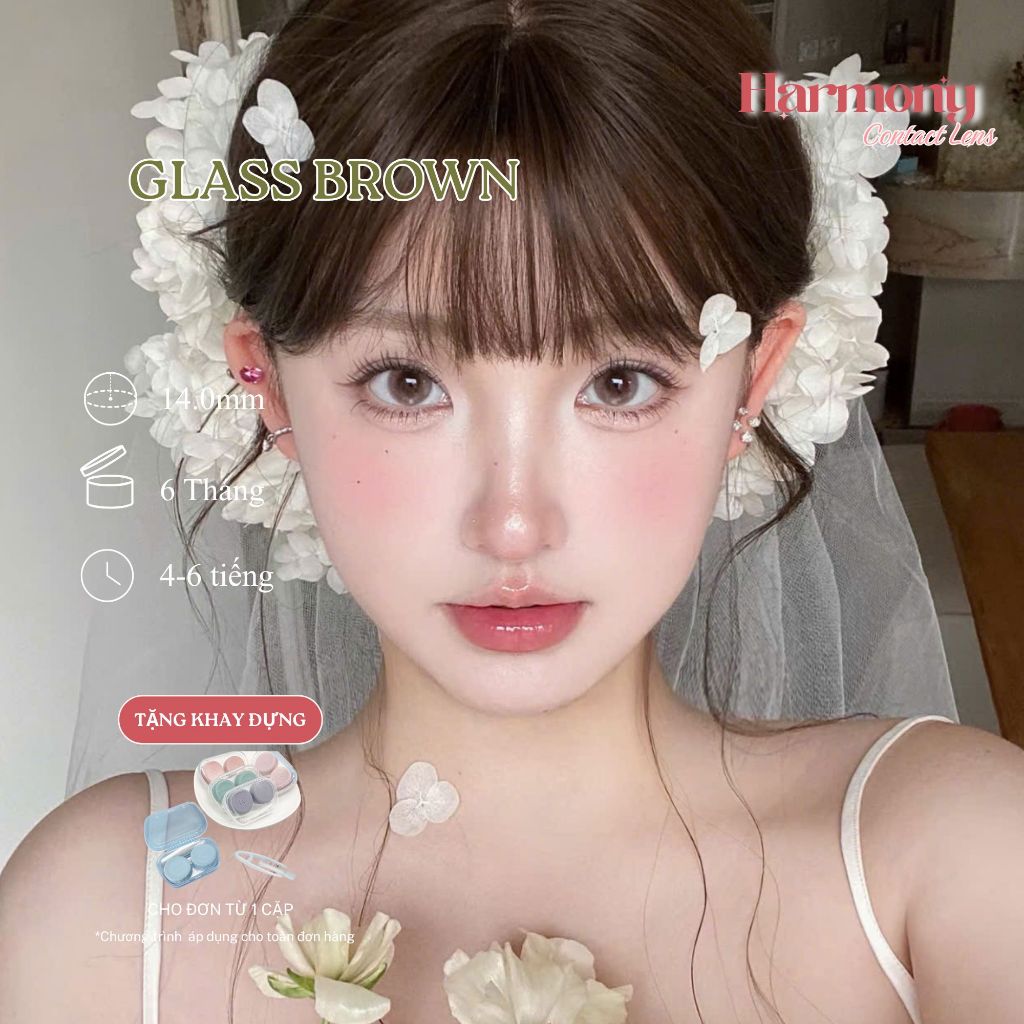 Kính áp tròng - lens nâu trà sữa 6 THÁNG HARMONY GLASS BROWN DIA 14.2mm có độ