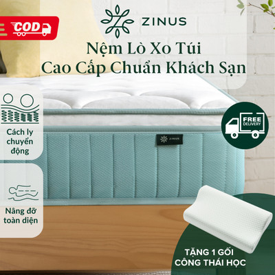 [Tặng Gối Công Thái Học] Nệm Lò Xo Độc Lập Cao Cấp Chuẩn Khách Sạn 25cm - 10in Euro Top Pocket Spring Mattress