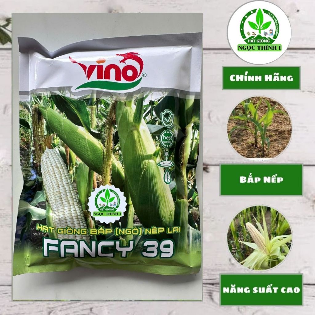 Hạt Giống Bắp (Ngô) Nếp Lai FANCY 39 VINO (Gói 100gr & 500gr) - Sinh trưởng mạnh, độ đồng đều cao