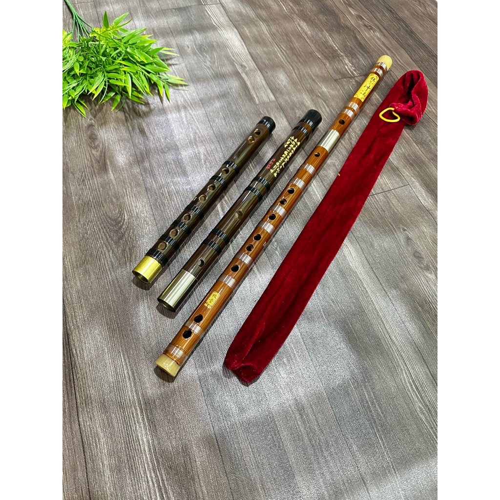 Dizi Mutong MT501 Khớp Kép Đô La