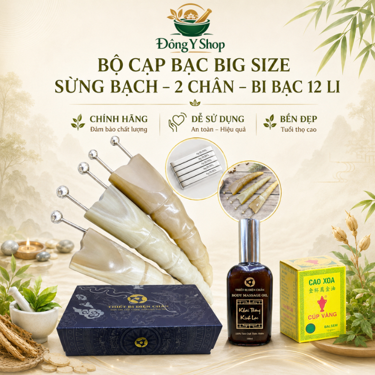 Bọ Cạp Bạc Diện Chẩn Cỡ Đại Cao Cấp - Dụng Cụ Massage Đánh Gió